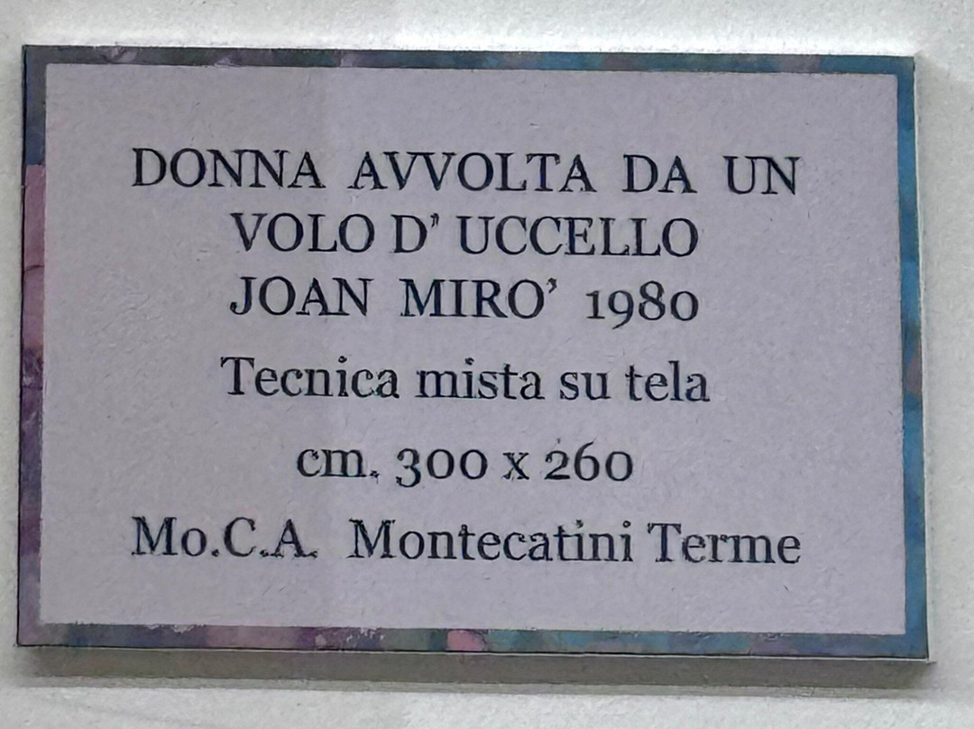 Mo.C.A. Montecatini Contemporary Art景点图片