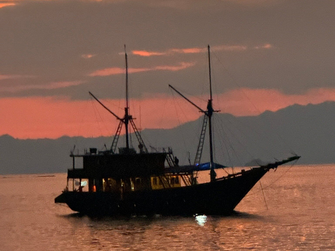 Situju Tuju Cruises景点图片