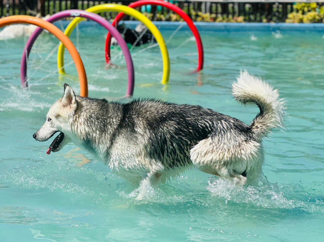 Pousada Italia Beach主图