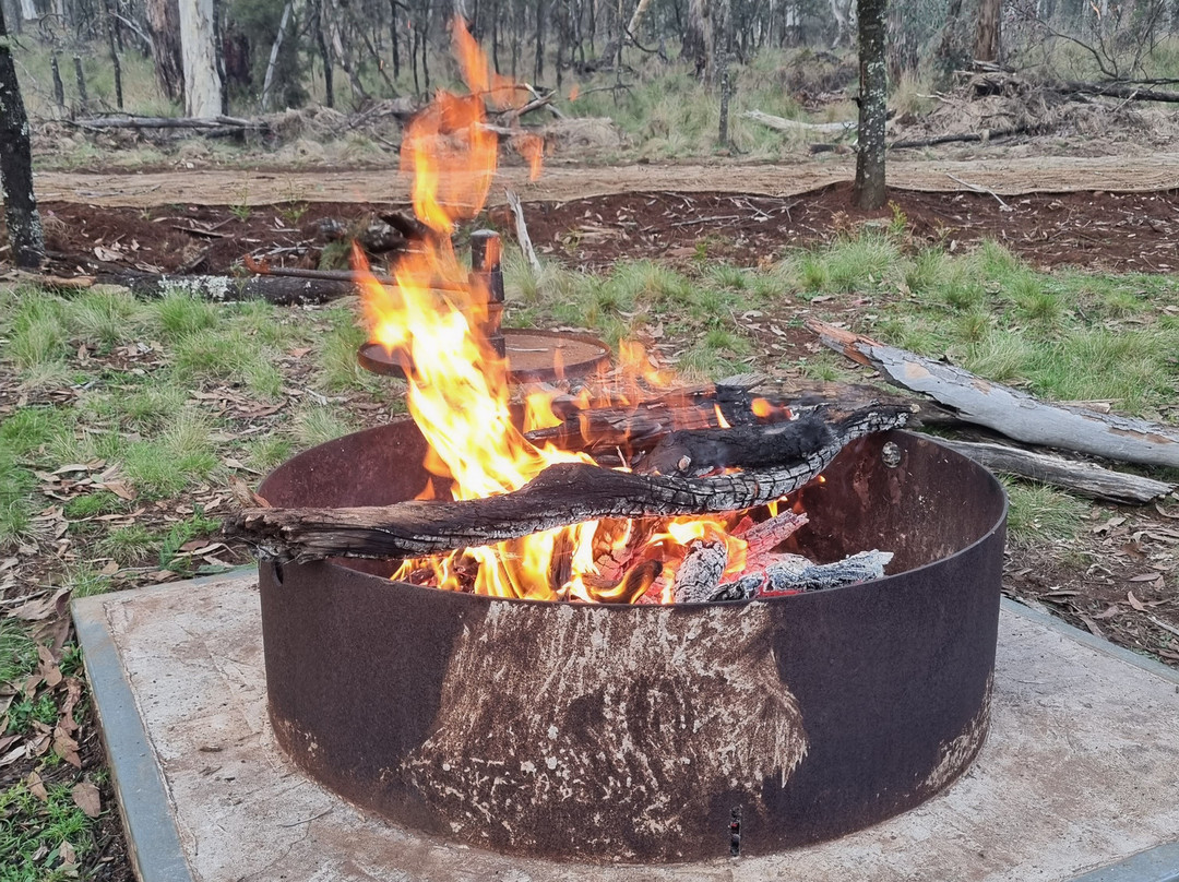 Coolah Tops National Park-Coolah必去景点