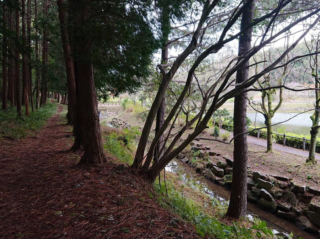 Hatoyamamachi Noson Park-鸠山町必去景点