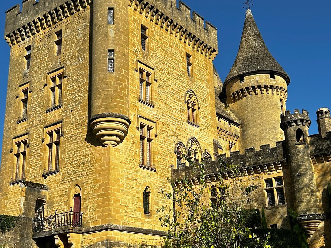 Chateau de Puymartin景点图片