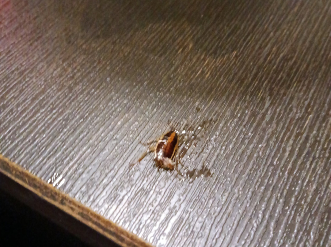 洛克威力拉马达酒店主图