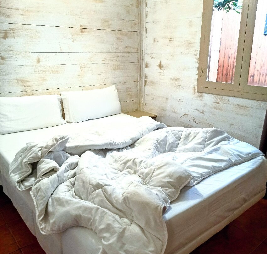 Camping Caledonia主图