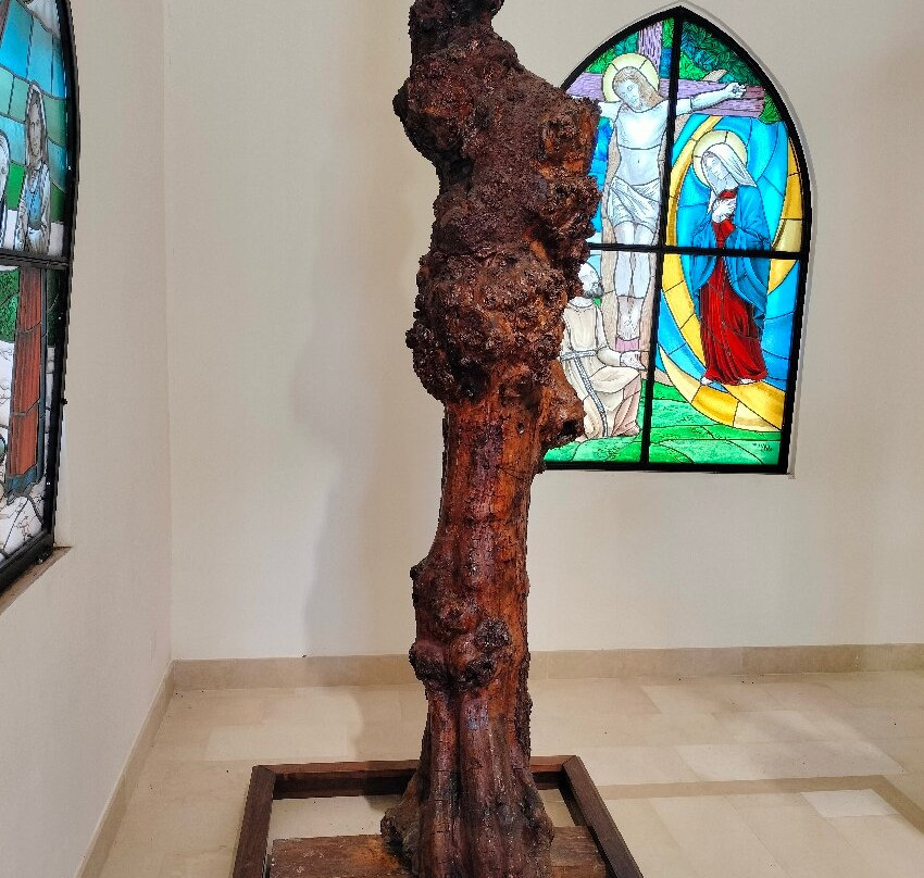 Cappella di San Francesco d'Assisi景点图片
