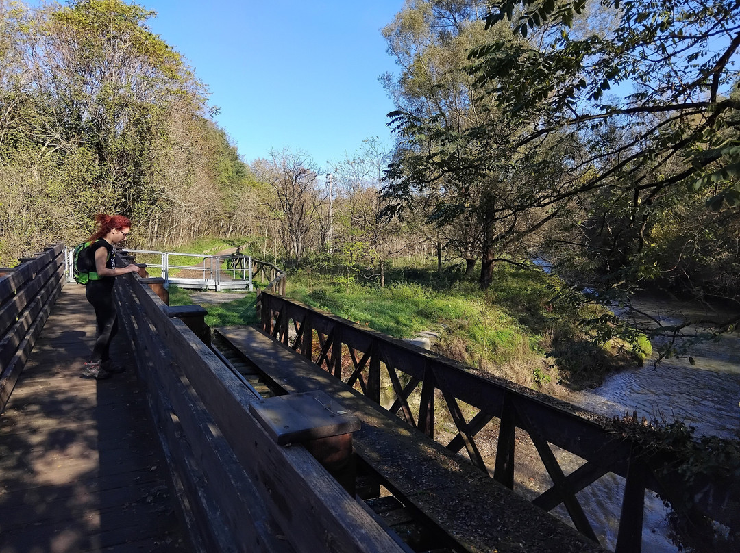 Pista ciclabile Valle Olona景点图片