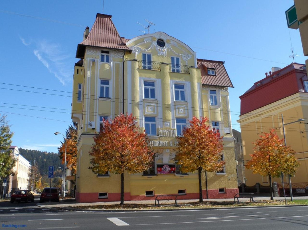 Velka Hledsebe酒店住宿-Pension Elektra