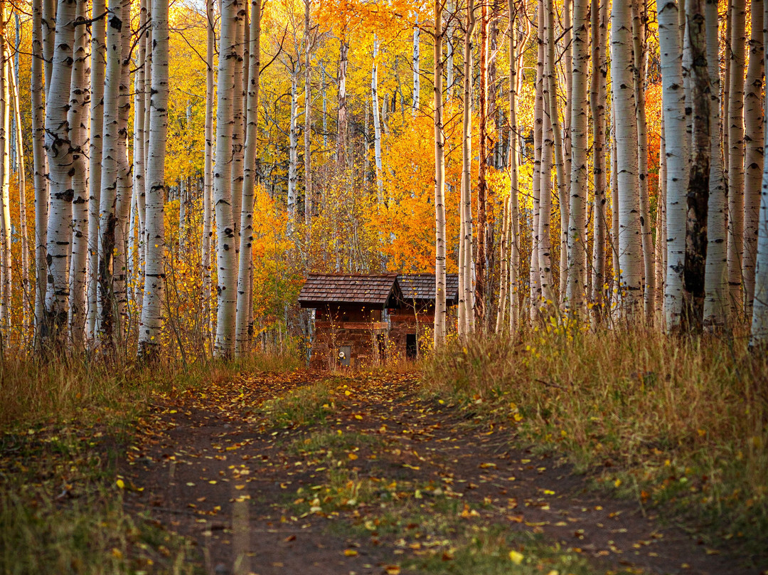 Action Photo Tours-卡纳布必去景点
