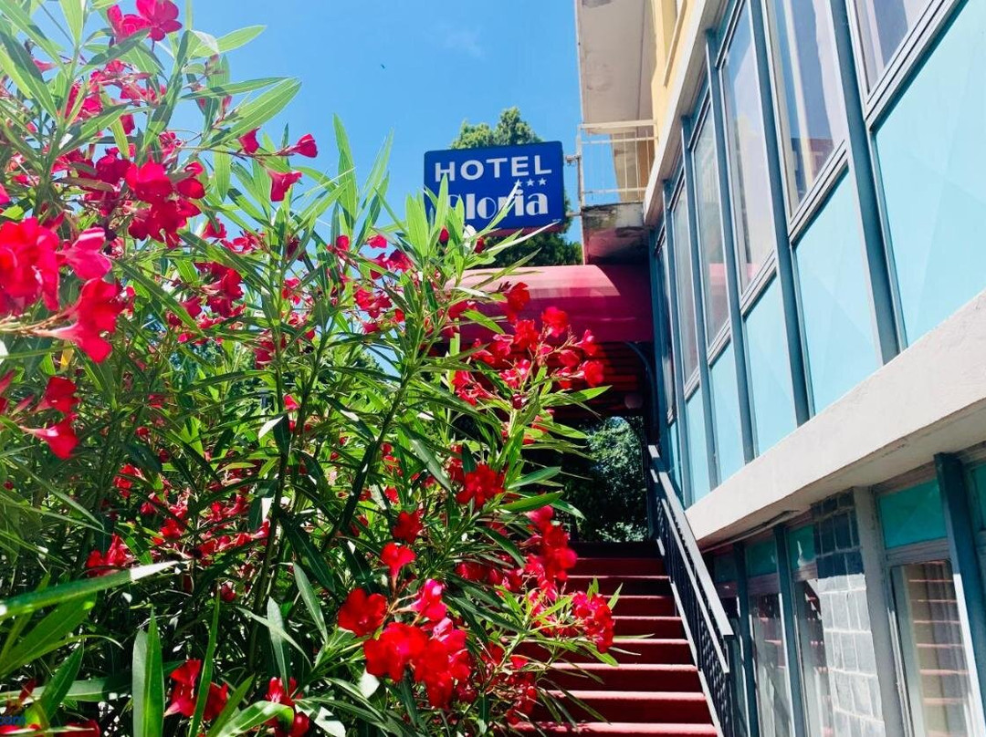 Pie' di Via酒店住宿-Hotel Gloria