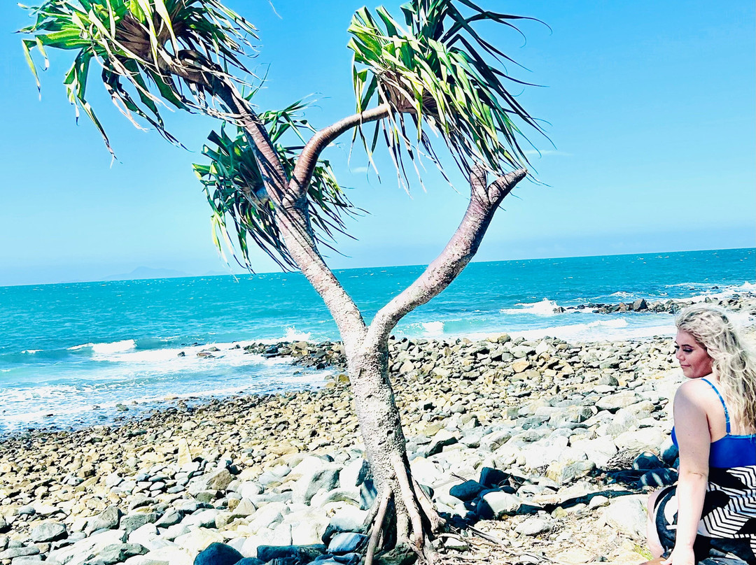 Dolphin Heads Resort主图