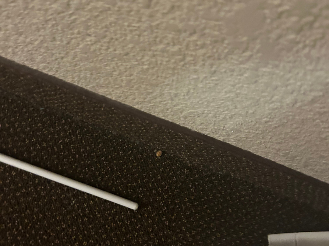 Drury Inn Paducah主图