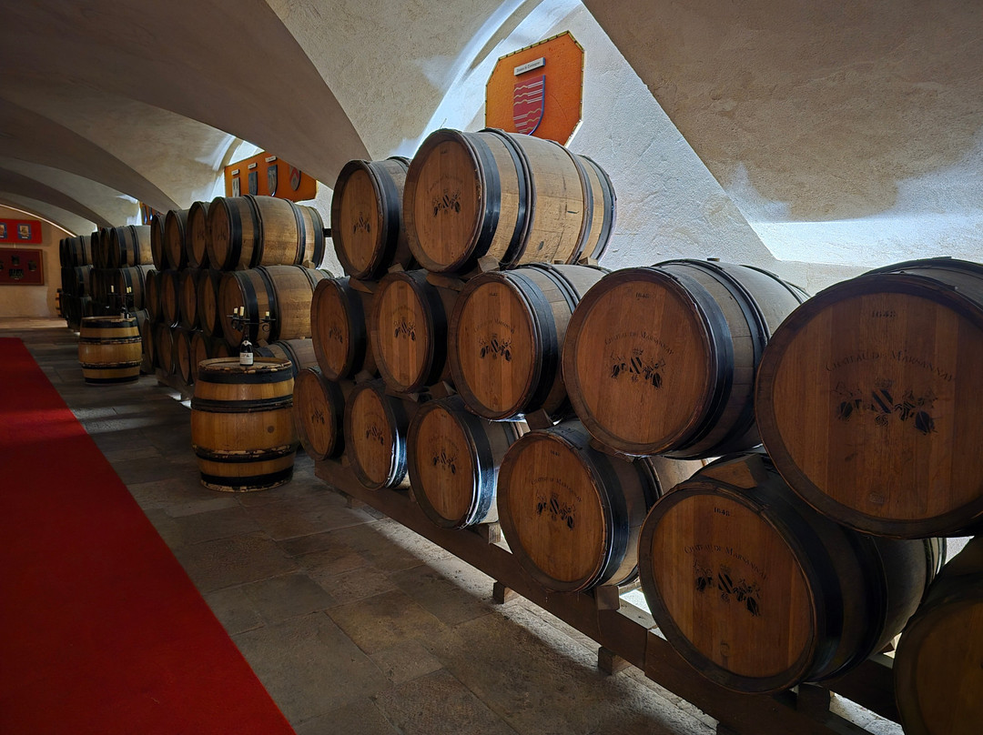 Château de Marsannay-马沙内丘必去景点