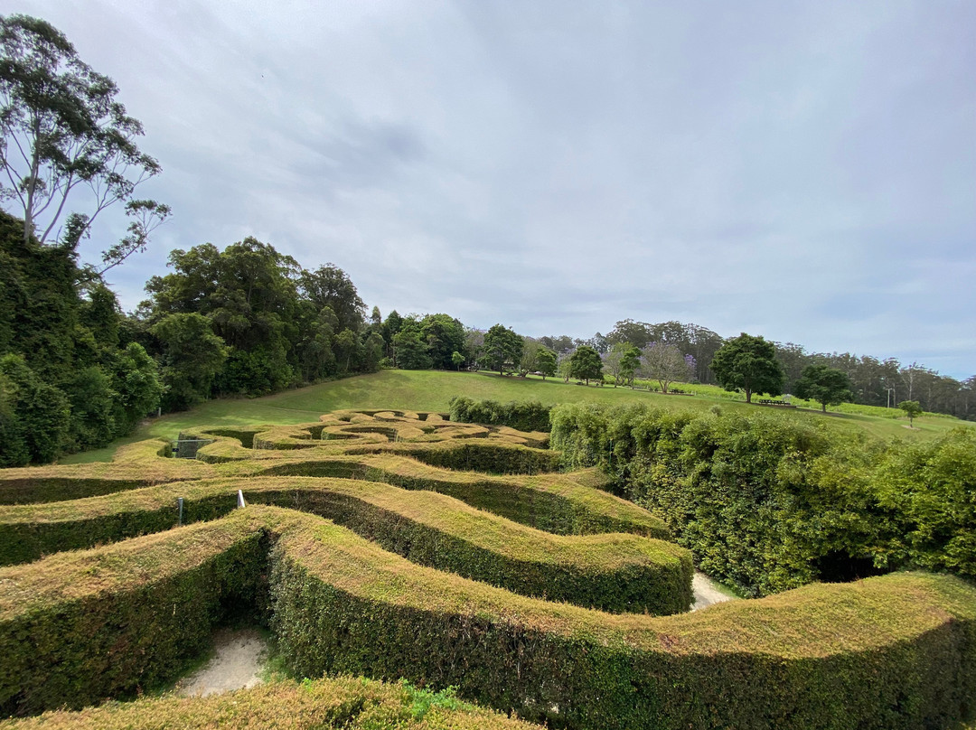 Bago Maze & Wine-Wauchope必去景点