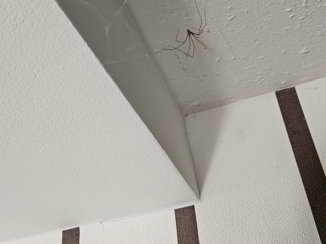 Dorint Resort Winterberg主图