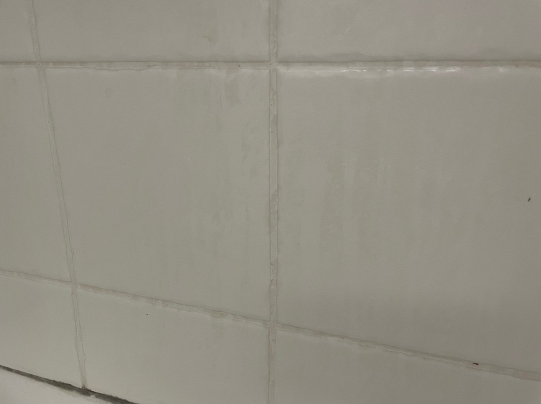 Raintrees Moffat Beach主图