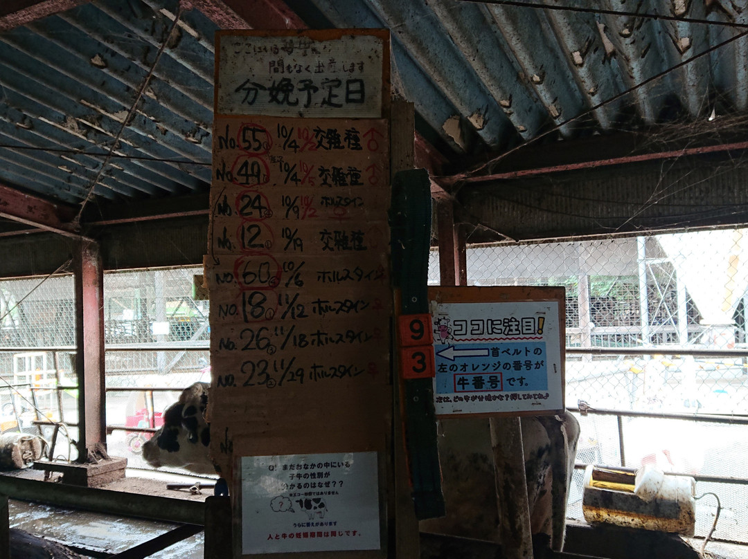 Enomoto Diaryfarm-上尾市必去景点