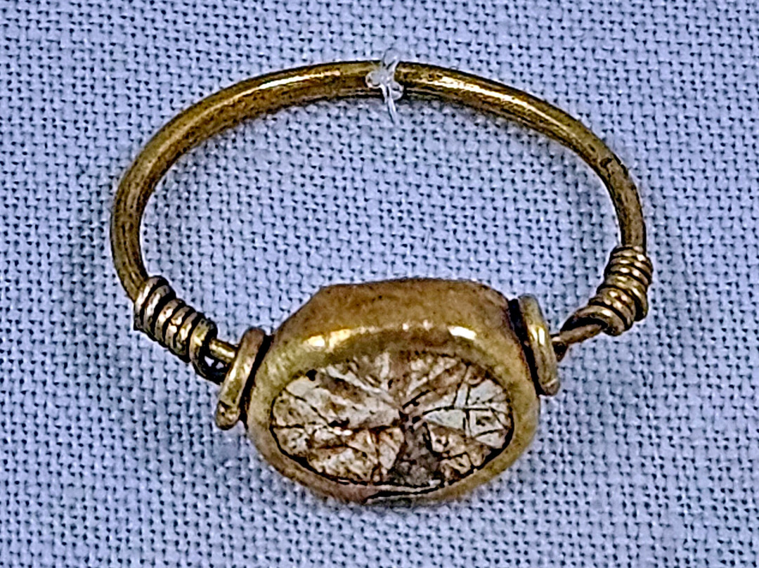 Larnaka District Archaeological Museum-拉纳加必去景点