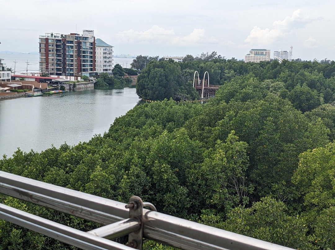 Sky Tower View Point-罗勇必去景点
