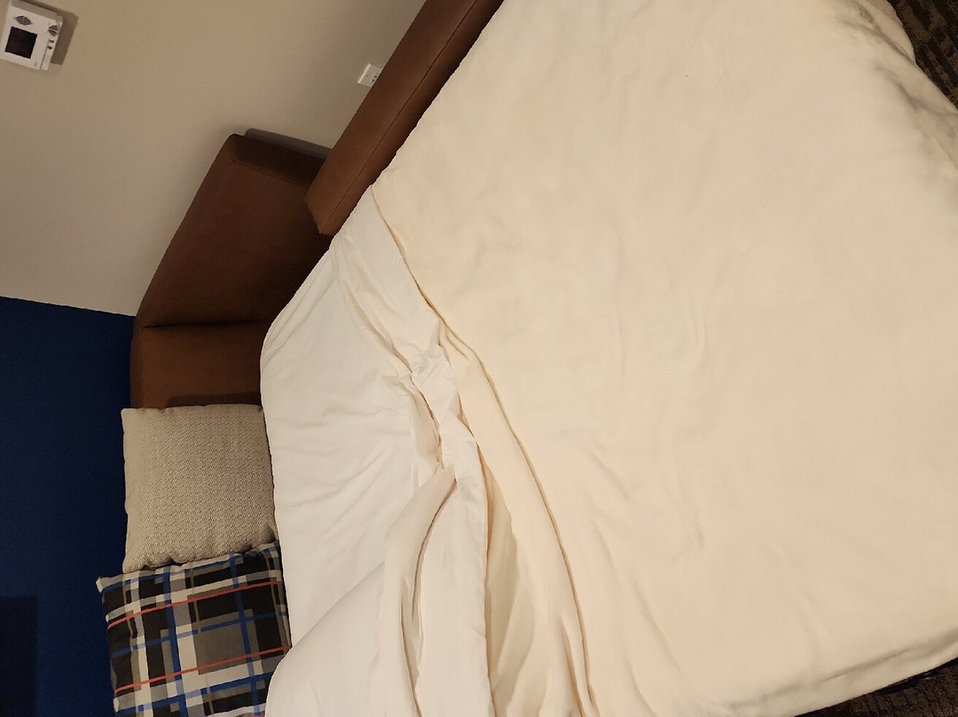 Ayres Hotel Rialto Fontana主图