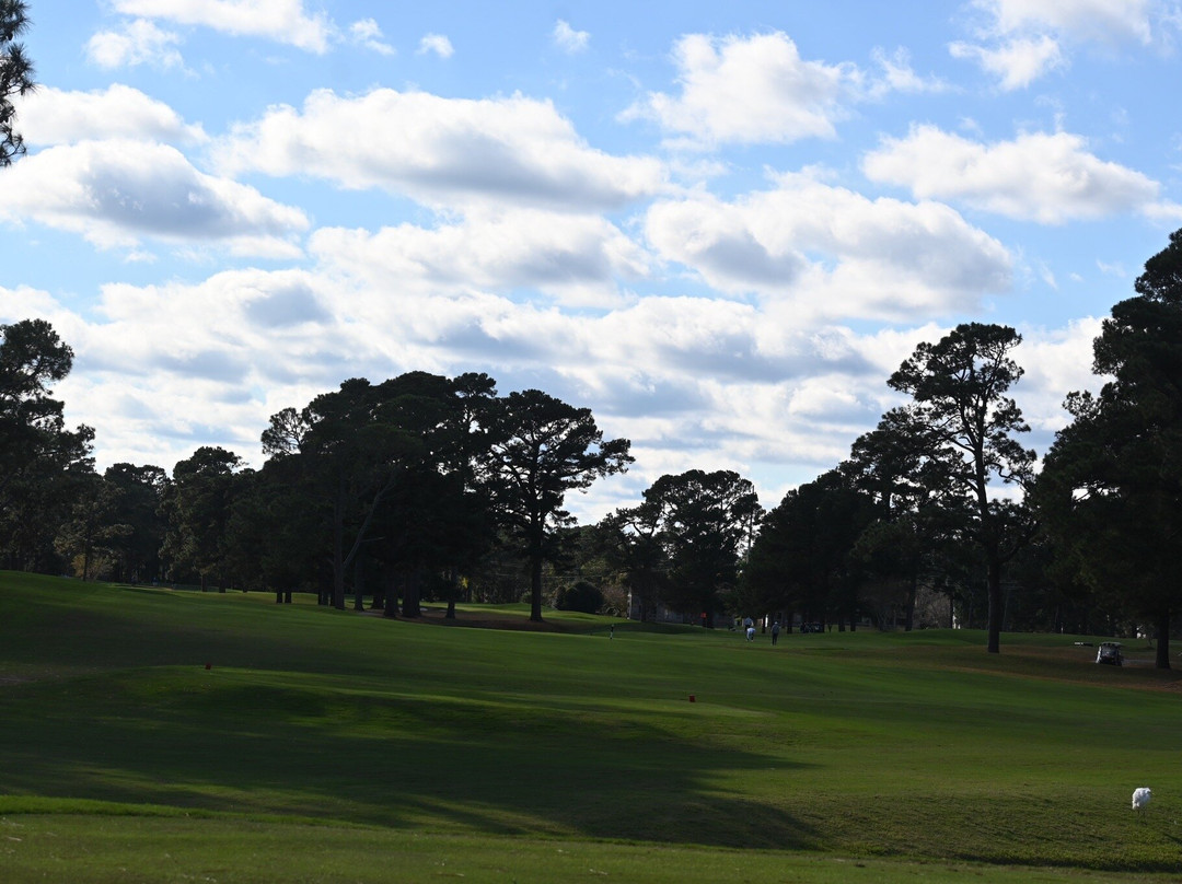 PineHills & Palmetto at Myrtlewood Golf Club-美特尔海滩必去景点