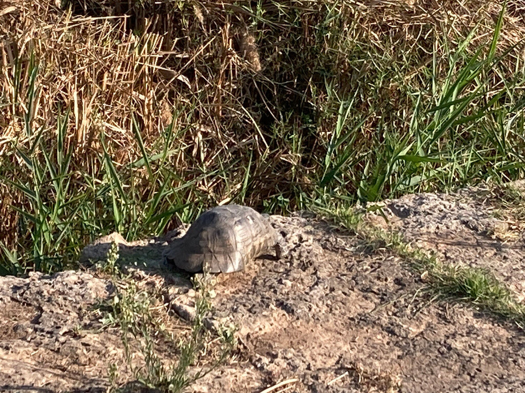 Temple of Artemis-Vravrona必去景点