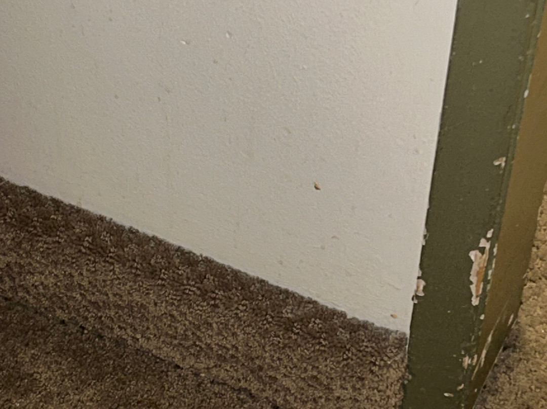 Ramada by Wyndham Medicine Hat主图