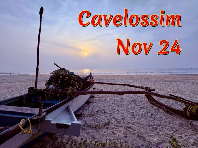 Novotel Goa Dona Sylvia Resort-泳池