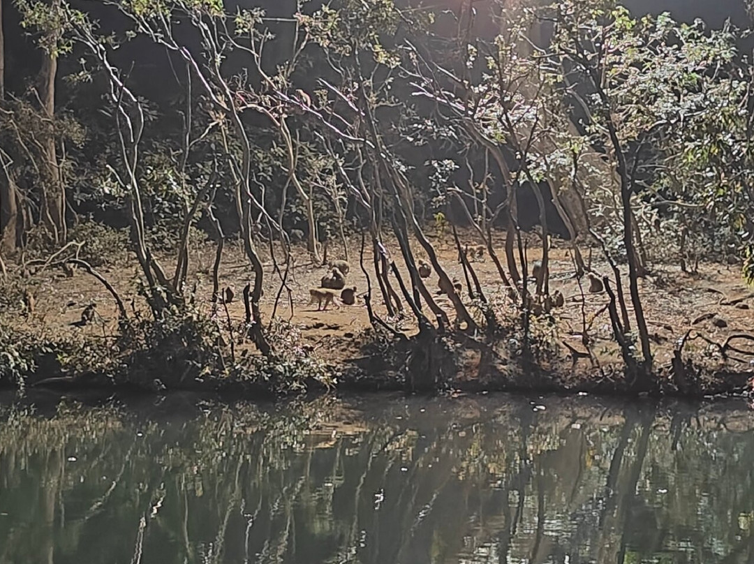 Sati Anusuya Temple景点图片