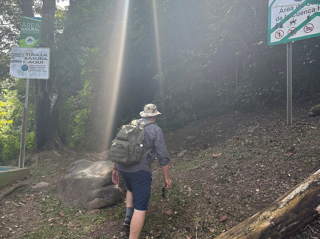 Toro Negro State Forest-波多黎各必去景点