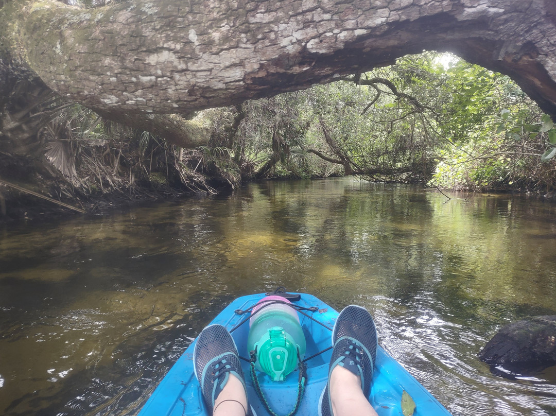 Juniper Springs Recreation Area景点图片