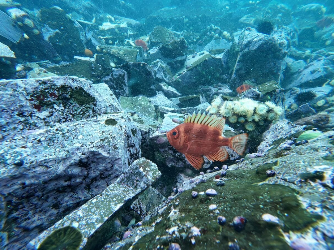 Ocean Spirit Peru景点图片