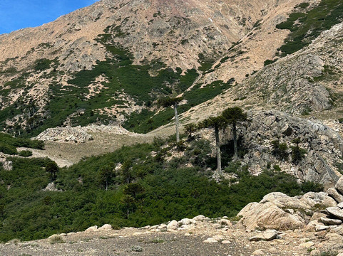 Tu Aventura MTB-Villa Pehuenia必去景点