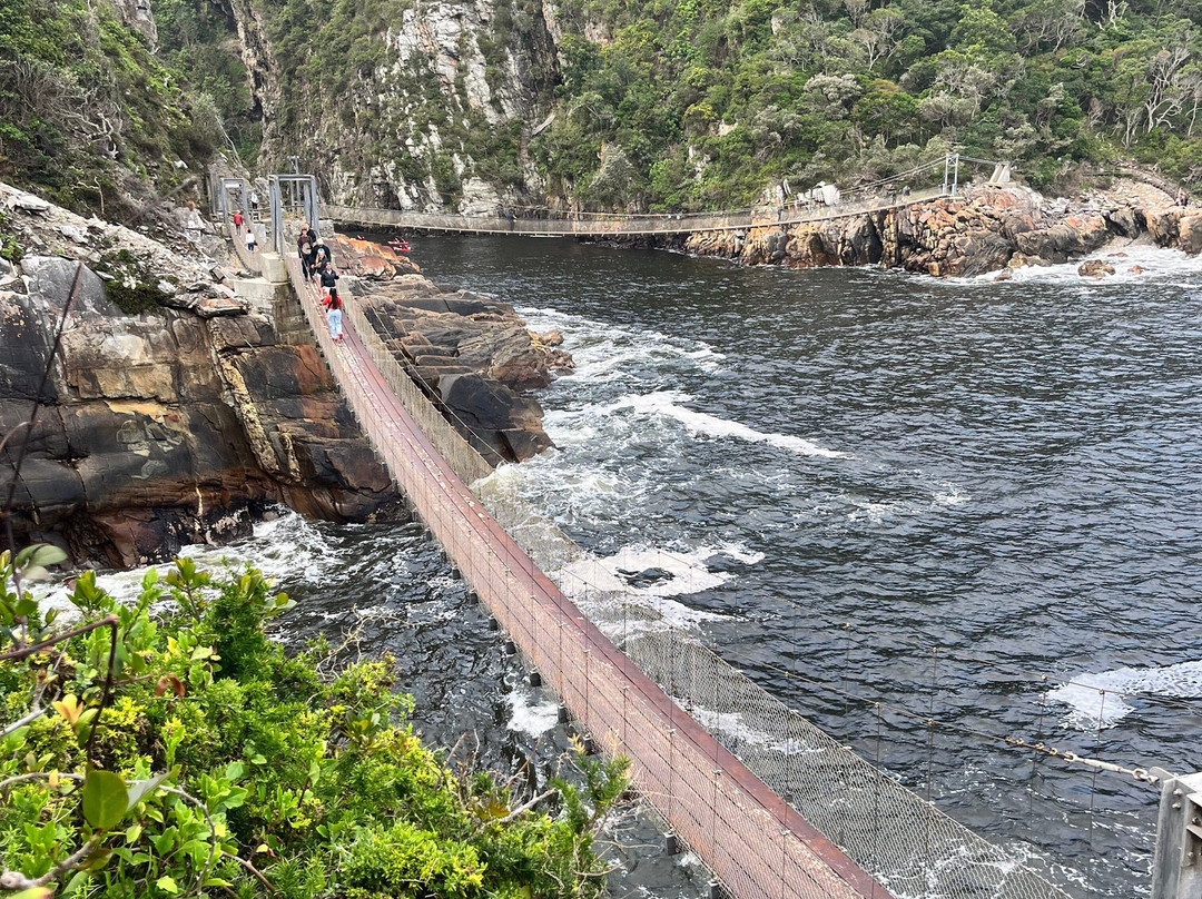 Wilderness Express Tours & Transfers-荒野必去景点