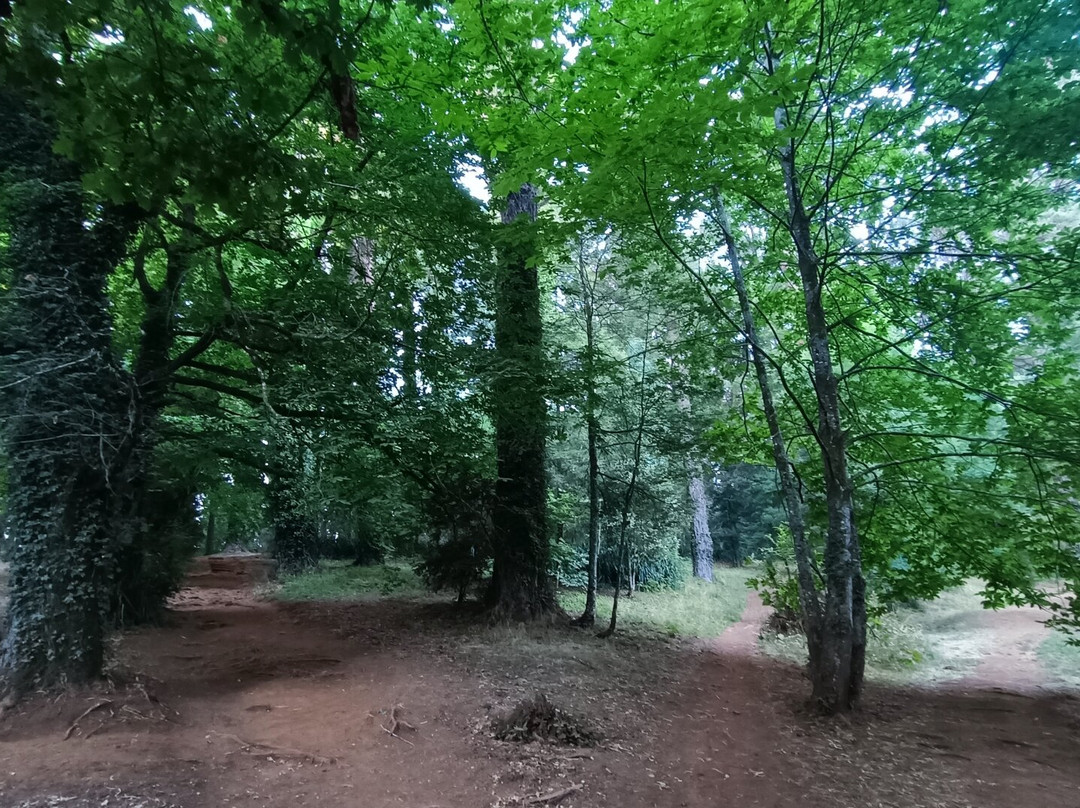 Jardin Botanico de la Universidad Austral de Chile-瓦尔迪维亚必去景点