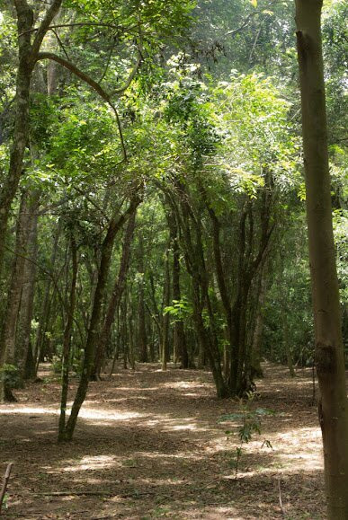 Vinícola Pianegonda - Vinhos Naturais景点图片