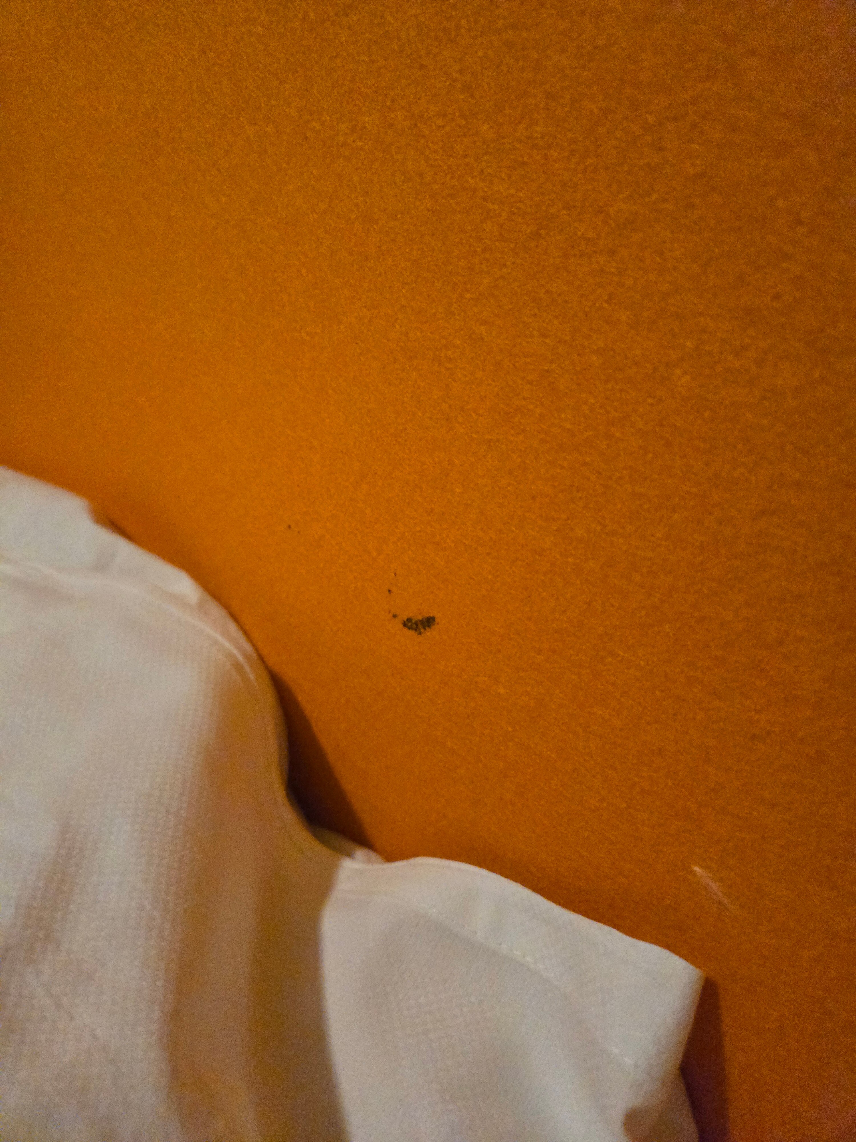 塞德林格托酒店-客卧