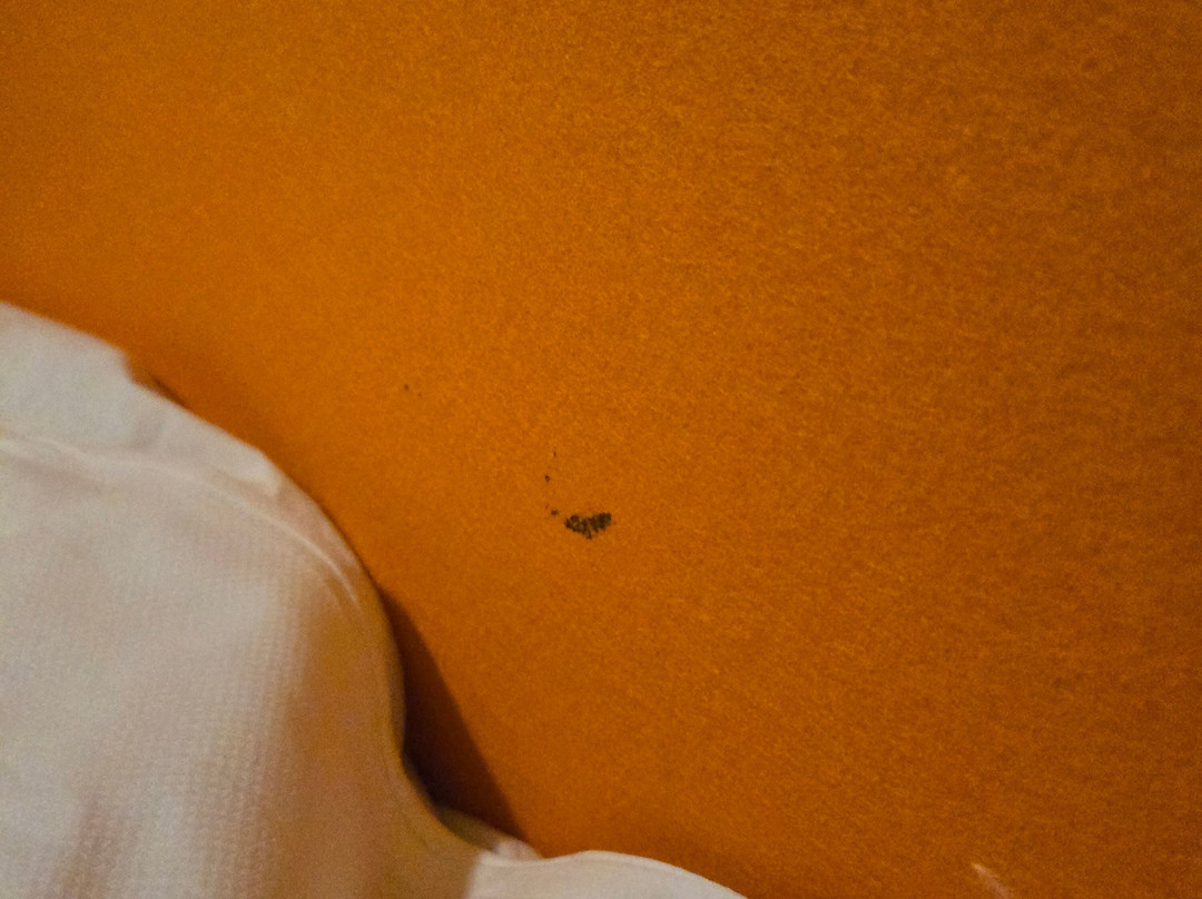 塞德林格托酒店主图