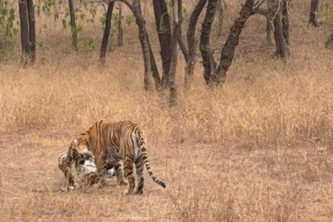 Fragrance of Taj Tours-阿格拉必去景点