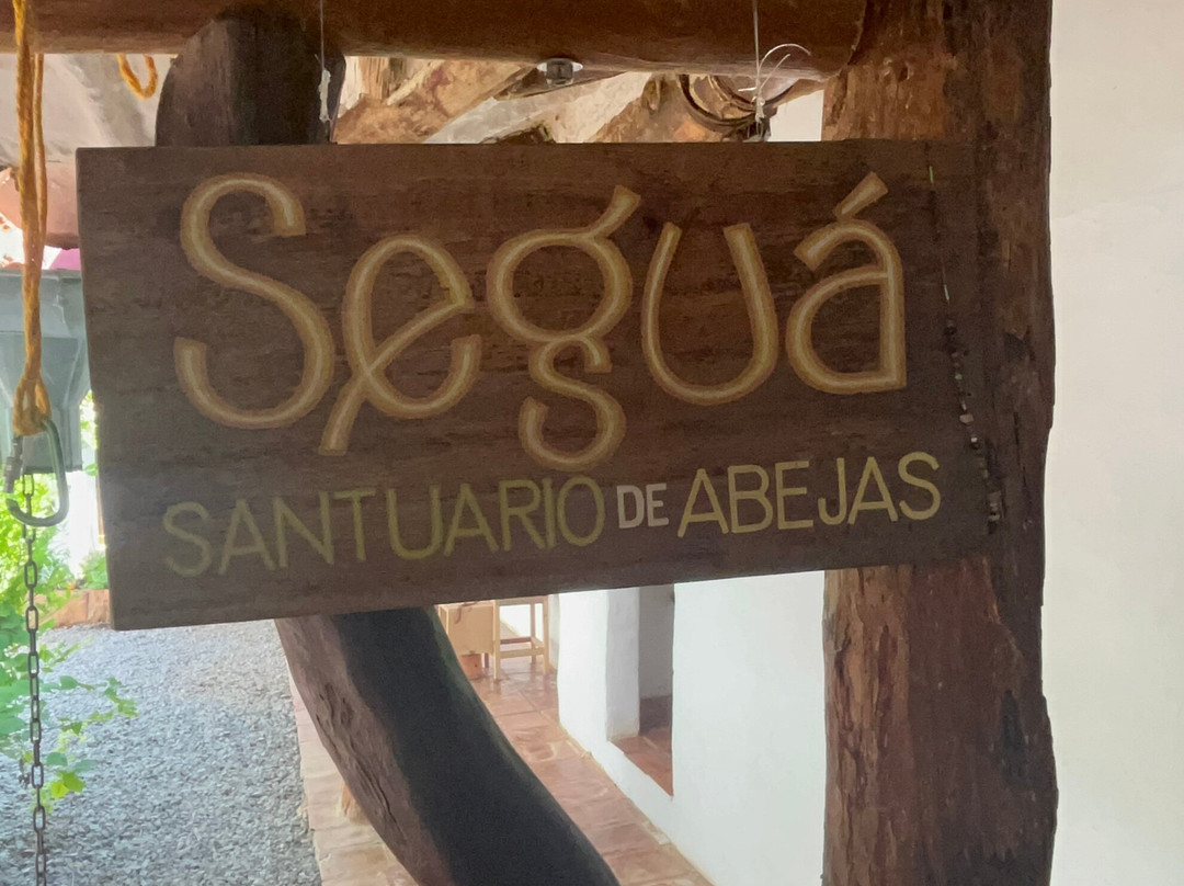 Santuario de Abejas景点图片