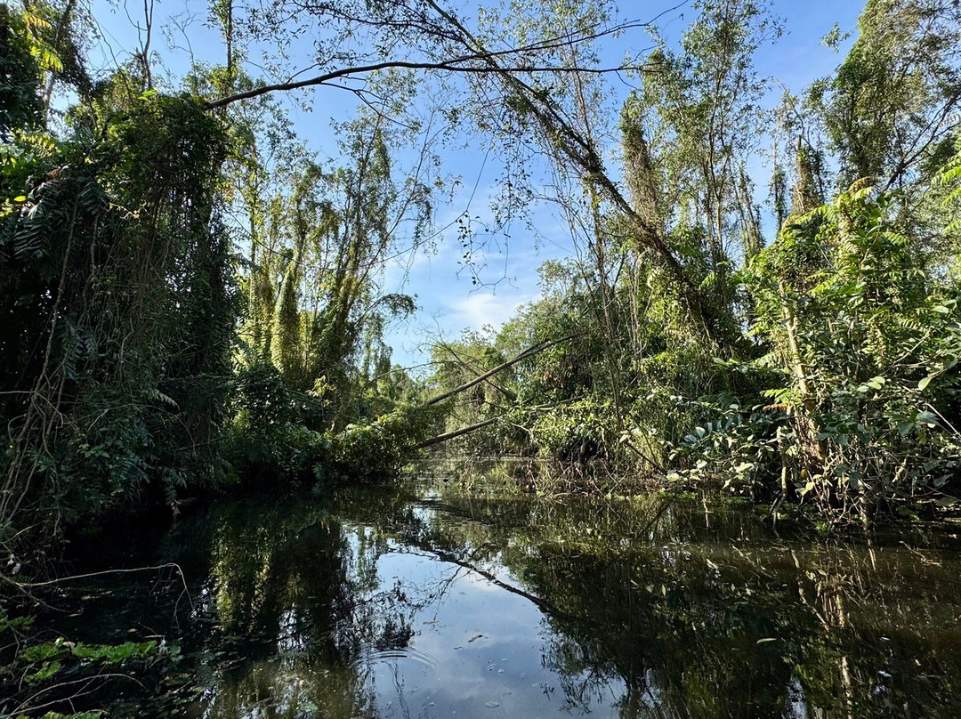 Khu Du Lịch Mùa Xuân-Nga Bay必去景点