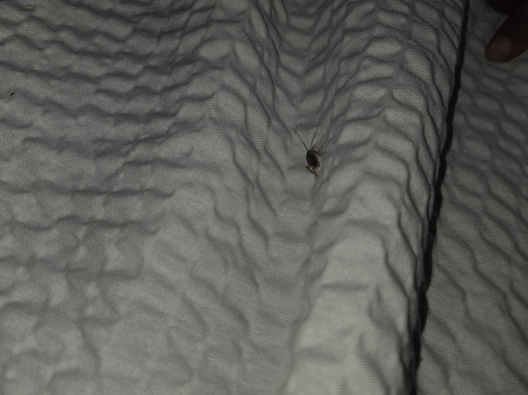 Days Inn by Wyndham Fordyce主图