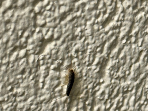 Hotel Kuenstleralm主图