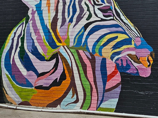 Happy Soul Adventures-卡萨尼必去景点