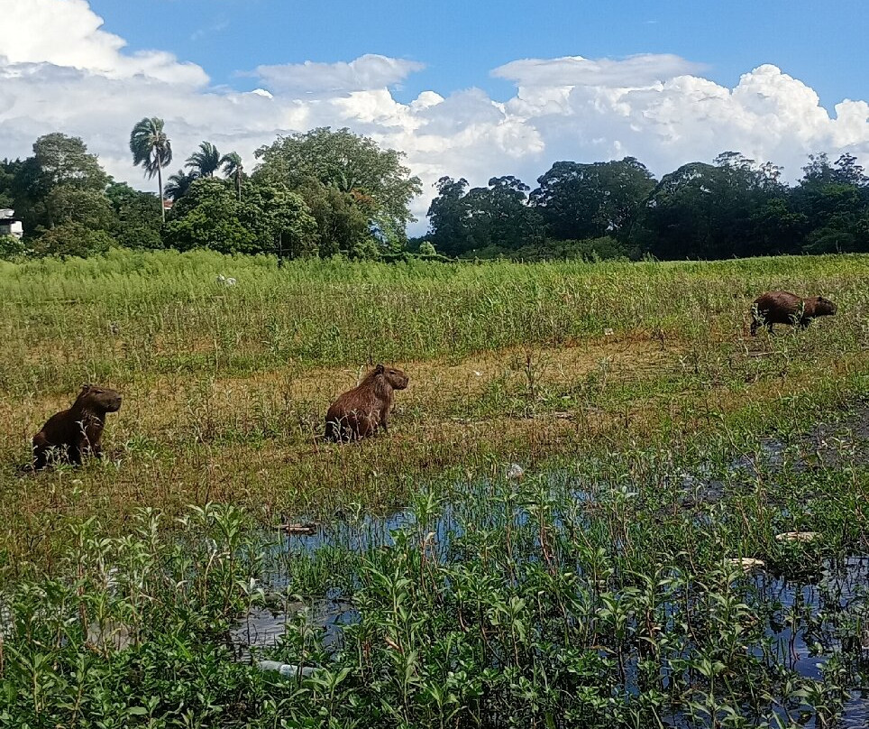 Barragem de Guarapiranga-圣保罗必去景点