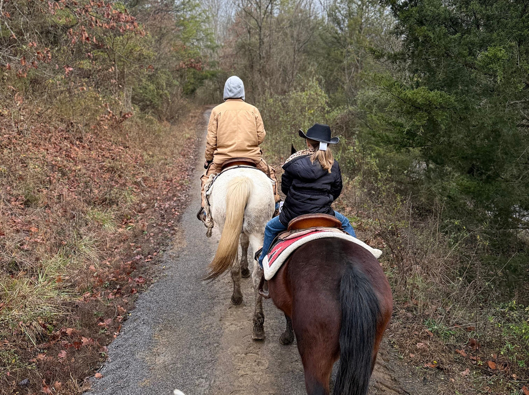 Smoky Mountain Deer Farm & Exotic Petting Zoo-塞维尔维尔必去景点