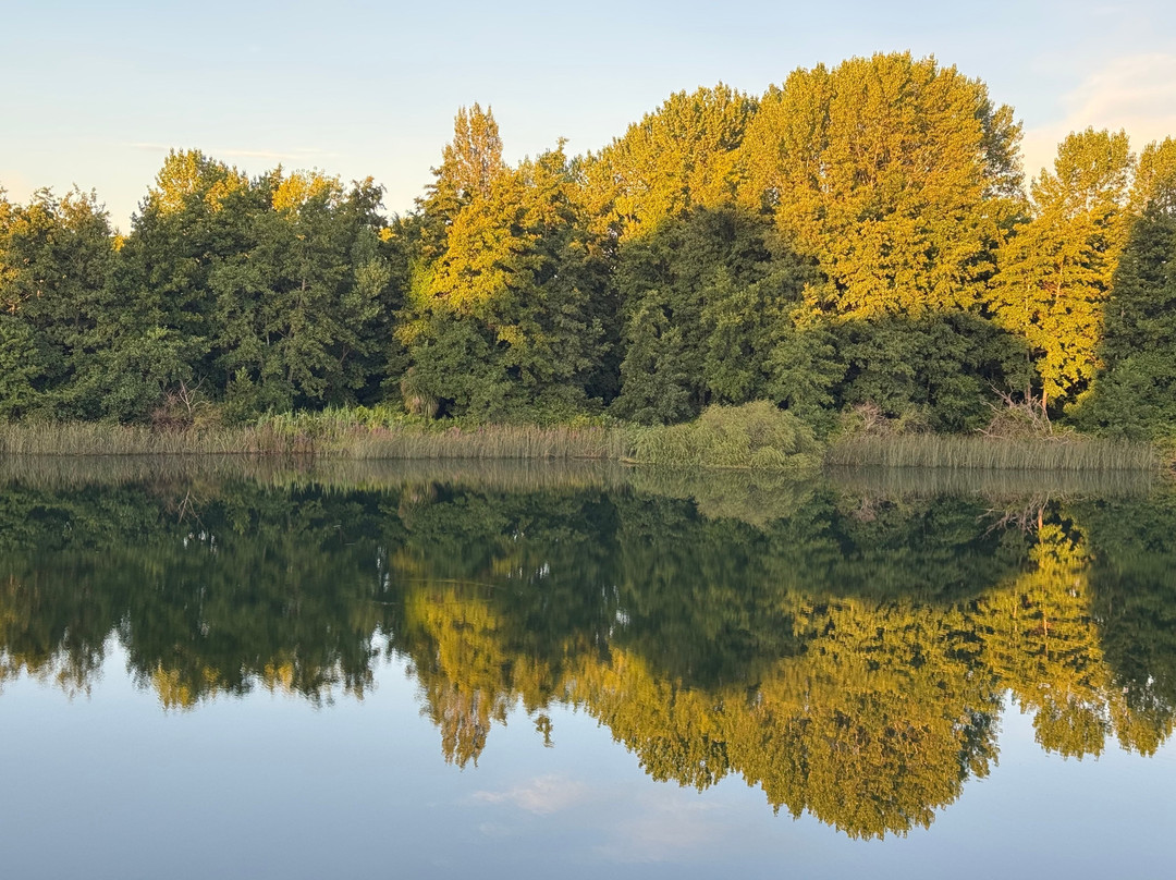 Hotel Naguilan主图