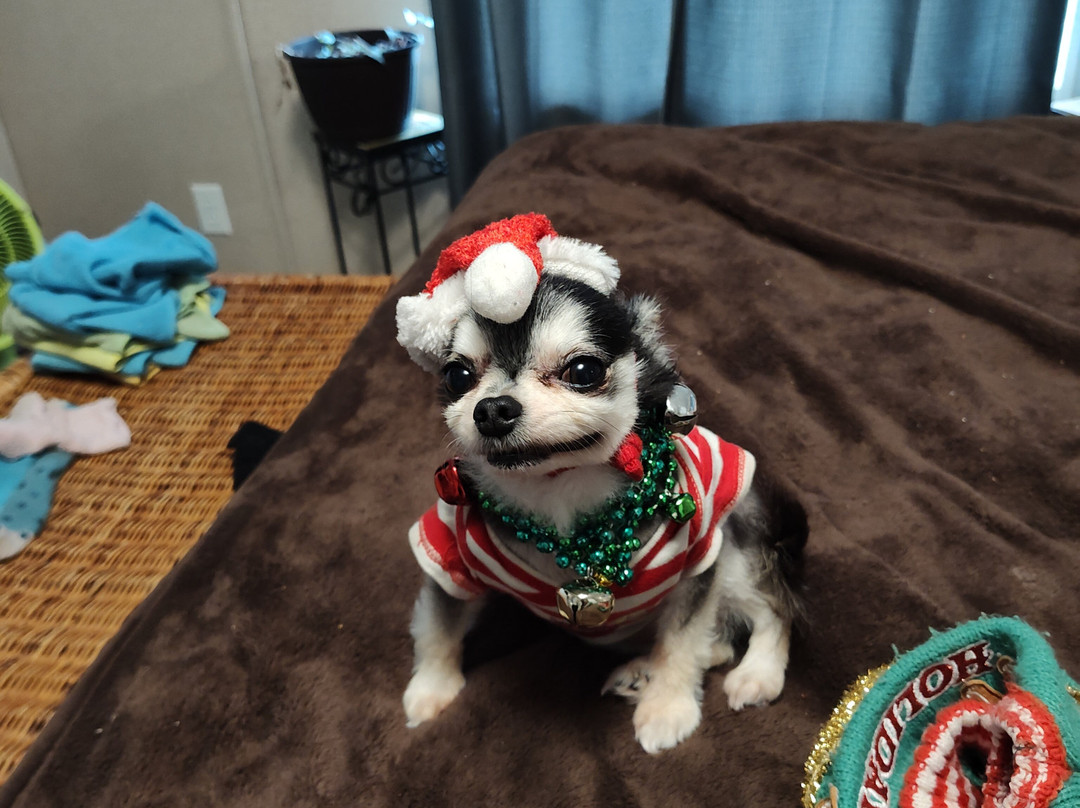 Red Roof Inn Georgetown, IN - Louisville West主图