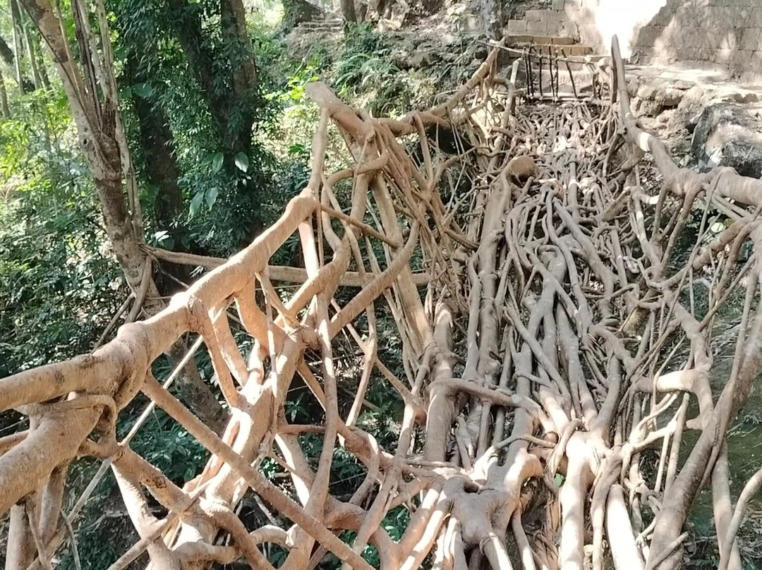 Umkar Living Root Bridge景点图片