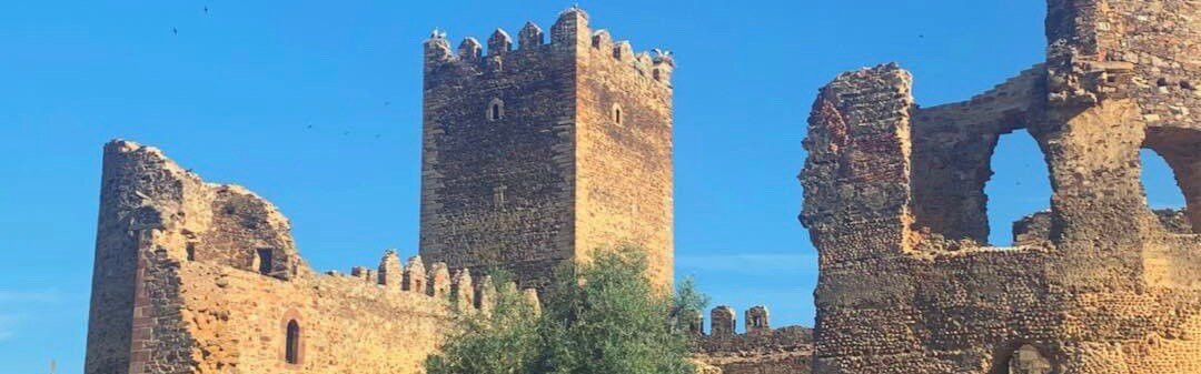 Castillo de Laguna de Negrillos景点图片
