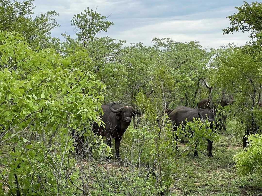 Canuel Tours And Safaris-雾观必去景点